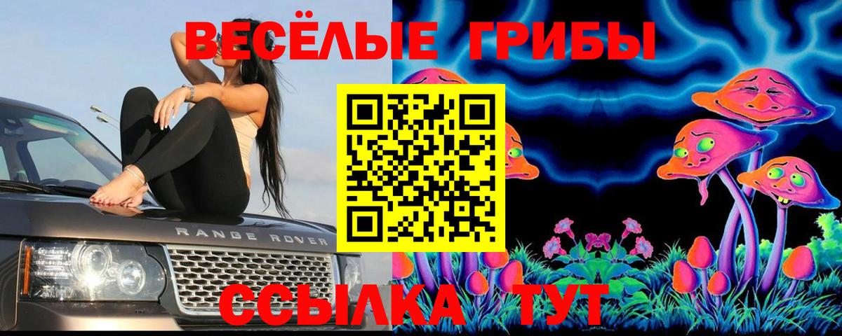 Галлюциногенные грибы MAGIC MUSHROOMS  Псилоцибиновые грибы Magic Shrooms  Тосно  Вход с VPN 