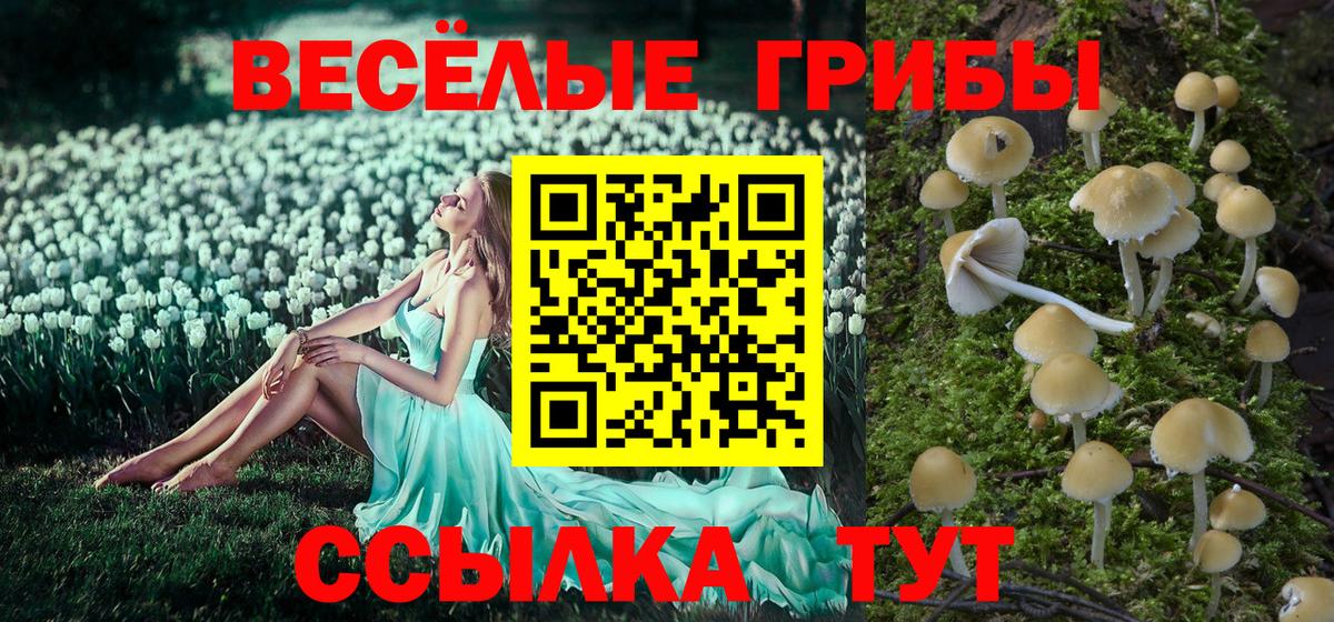 Галлюциногенные грибы MAGIC MUSHROOMS Тосно